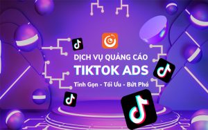 dich vu quang cao chuyen doi tiktok ads chuyen nghiep