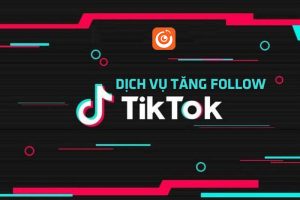 tim hieu dich vu tang follow tiktok chat luong