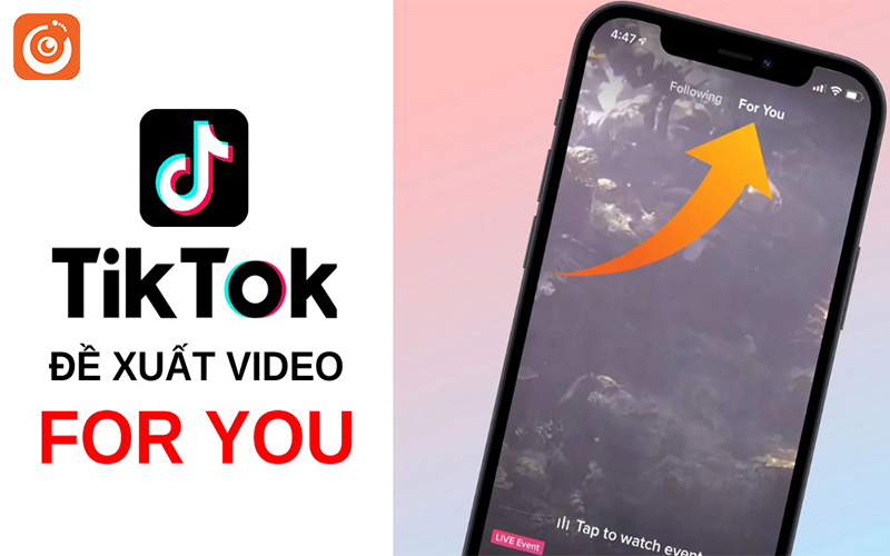 Thuật toán đề xuất video TikTok vòng duyệt đa quốc gia