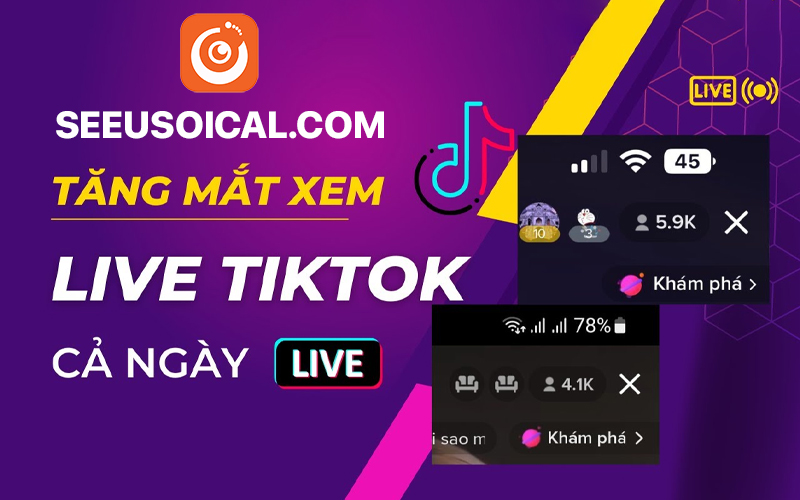 Dịch vụ tăng mắt live stream Tiktok giá rẻ