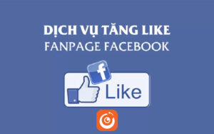 dịch vụ tăng like fanpage