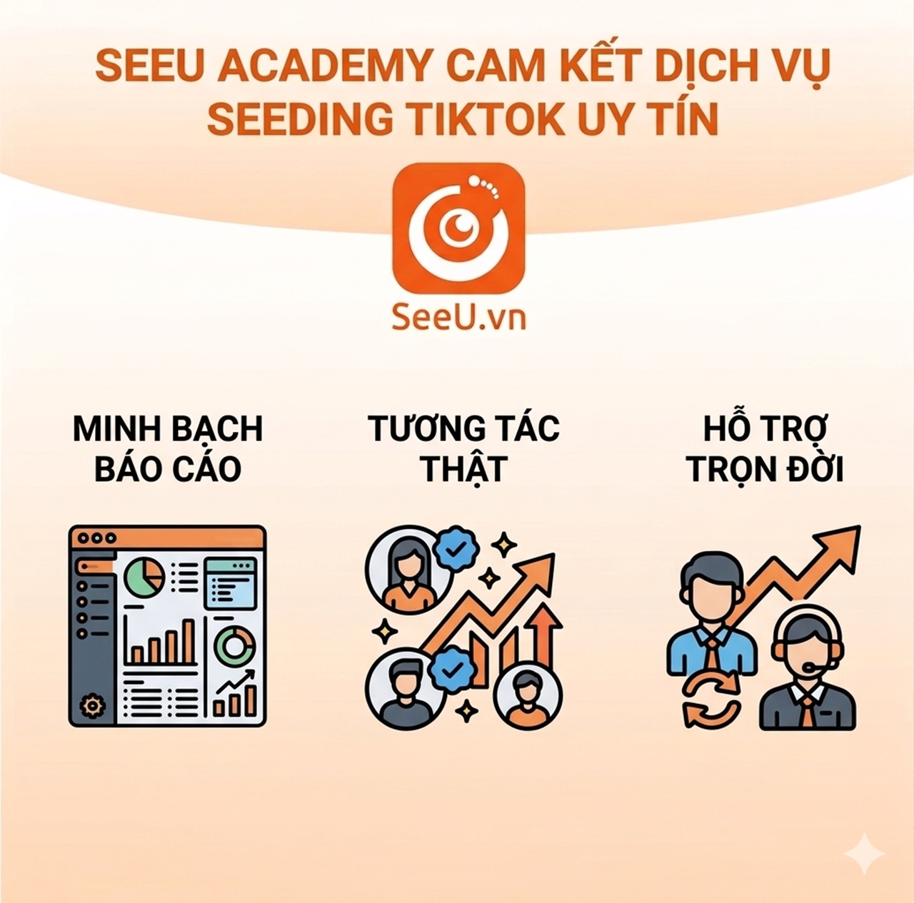 Seeu Academy cam kết dịch vụ Seeding TikTok uy tín