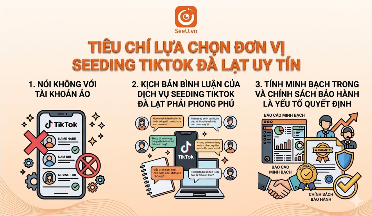 Tiêu chí lựa chọn đơn vị Seeding TikTok Đà Lạt uy tín